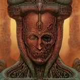 Do básico ao avançado em Nexus Primordial pela Northlight Studio